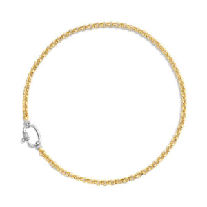 Silver Rolo chain necklace has a stream of gold-plated links.
