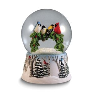 San Francisco Music Box (Plays Winter Wonderland) Birds Wreath Water Globe
