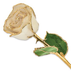 Lacquer Dipped Gold Trimmed White Real Rose