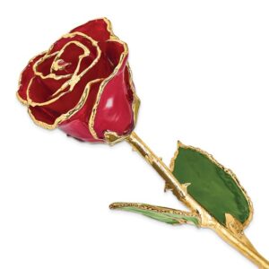 Lacquer Dipped Gold Trimmed Red Real Rose
