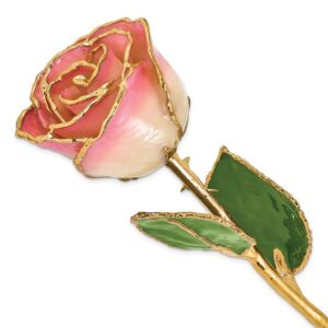 Lacquer Dipped Gold Trimmed White Pink Real Rose
